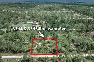 3341 Pheasant Ave, Lake Placid, FL 33852 - Photo 10