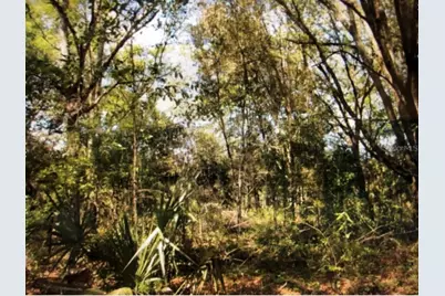 0 NE 126th Court, Williston, FL 32696 - Photo 1