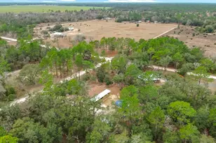 12051 NE 14th St, Williston, FL 32696 - Photo 62