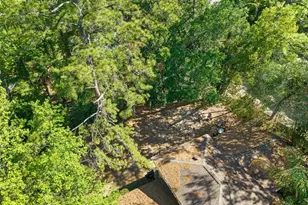 2910 SW 1st Ave, Gainesville, FL 32607 - Photo 12