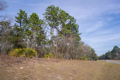 2173 W Citrus Springs Boulevard, Citrus Springs, FL 34434 - Photo 2