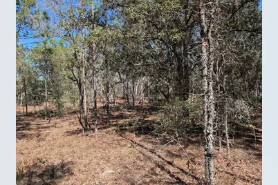 Sw 81st Street, Dunnellon, FL 34432 - Photo 10