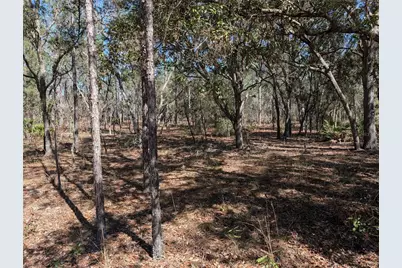 Sw 81st Street, Dunnellon, FL 34432 - Photo 6