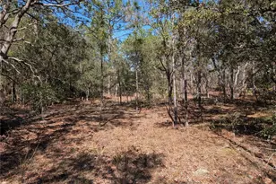 SW 81st St, Dunnellon, FL 34432 - Photo 1