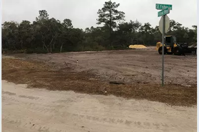 000 Fisher Loop, Ocklawaha, FL 32179 - Photo 1