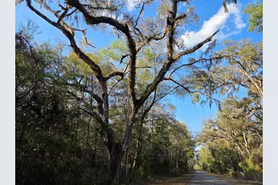 8150 NE 178th Terrace, Williston, FL 32696 - Photo 8