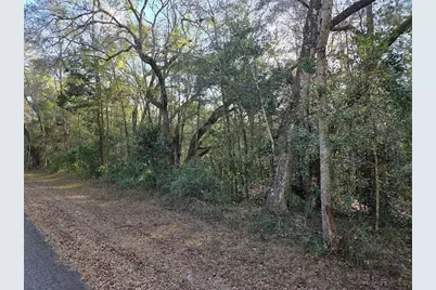 8150 NE 178th Terrace, Williston, FL 32696 - Photo 4