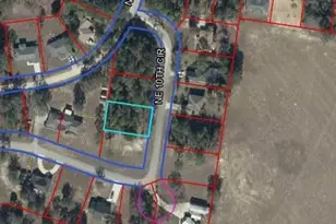 NE 10 Circle, Williston, FL 32696 - Photo 1