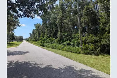 0 SE 99th Avenue, Summerfield, FL 34491 - Photo 4