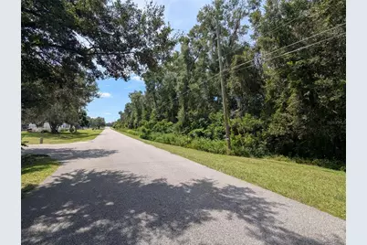 0 SE 99th Avenue, Summerfield, FL 34491 - Photo 10