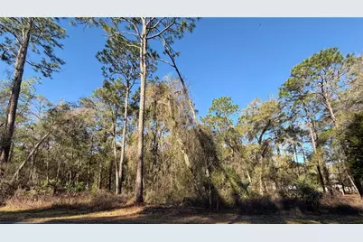 5230 S Robert Blake Avenue, Inverness, FL 34452 - Photo 10