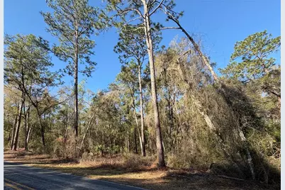 5230 S Robert Blake Avenue, Inverness, FL 34452 - Photo 4