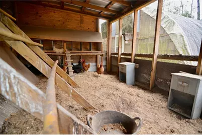 210 Tucker Springs Road, Sopchoppy, FL 32358 - Photo 60