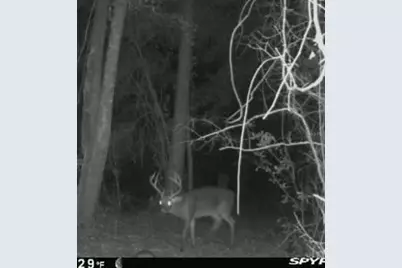 210 Tucker Springs Road, Sopchoppy, FL 32358 - Photo 78