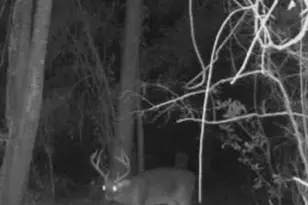 210 Tucker Springs Rd, Sopchoppy, FL 32358 - Photo 78