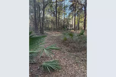 Tbd NE 150 Avenue, Fort Mc Coy, FL 32134 - Photo 4