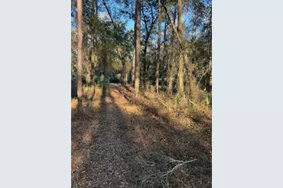 Tbd NE 150 Avenue, Fort Mc Coy, FL 32134 - Photo 6