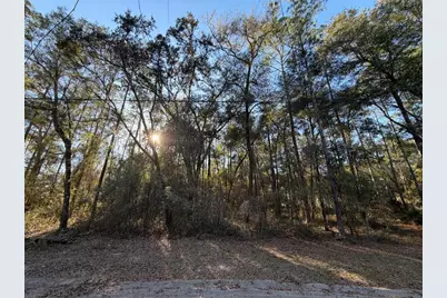 Tbd NE 150 Avenue, Fort Mc Coy, FL 32134 - Photo 1