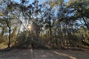 Tbd NE 150 Ave, Fort Mc Coy, FL 32134 - Photo 1