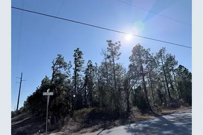 0 SW Edgewater Blvd, Dunnellon, FL 34431 - Photo 4