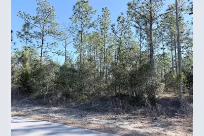 0 SW Edgewater Blvd, Dunnellon, FL 34431 - Photo 6