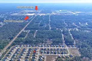 6987 SW 136th Ln, Ocala, FL 34473 - Photo 12