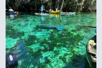 1115 SE Kingsbay Drive, Crystal River, FL 34429 - Photo 36