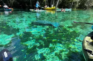 1115 SE Kings Bay Dr, Crystal River, FL 34429 - Photo 36