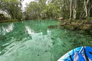 1115 SE Kings Bay Dr, Crystal River, FL 34429 - Photo 38