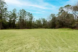11602 NE US Hwy 301, Waldo, FL 32694 - Photo 4