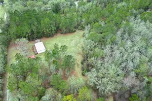 11602 NE US Hwy 301, Waldo, FL 32694 - Photo 6