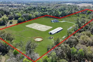 3245 NW 137th Pl, Reddick, FL 32686 - Photo 4