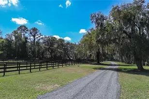 3245 NW 137th Pl, Reddick, FL 32686 - Photo 6