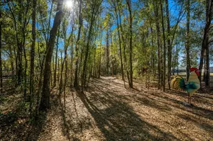 6655 NW 145th Avenue Rd, Morriston, FL 32668 - Photo 88