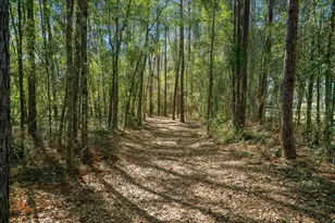 6655 NW 145th Avenue Rd, Morriston, FL 32668 - Photo 86