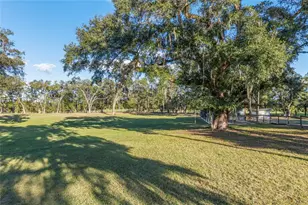 3291 SE 188 Terrace, Morriston, FL 32668 - Photo 38