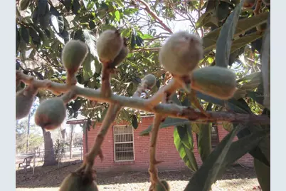 17051 SE 61st Place, Ocklawaha, FL 32179 - Photo 24