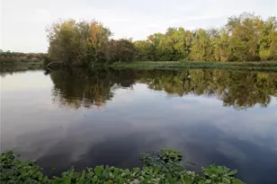 17051 SE 61st Pl, Ocklawaha, FL 32179 - Photo 86