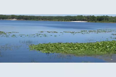 17051 SE 61st Place, Ocklawaha, FL 32179 - Photo 100