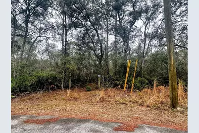 Tbd Off Riverview Road, Fanning Springs, FL 32693 - Photo 10
