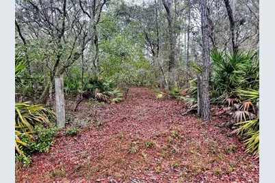 Tbd Off Riverview Road, Fanning Springs, FL 32693 - Photo 16