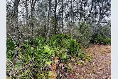 Tbd Off Riverview Road, Fanning Springs, FL 32693 - Photo 18