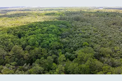 Tbd Off Riverview Road #9, Fanning Springs, FL 32693 - Photo 38