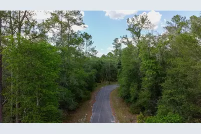 Tbd Off Riverview Road #9, Fanning Springs, FL 32693 - Photo 8