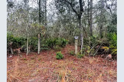 Tbd Off Riverview Road, Fanning Springs, FL 32693 - Photo 6