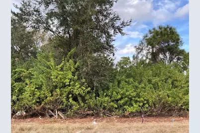 52 Gene Avenue S, Lehigh Acres, FL 33976 - Photo 1