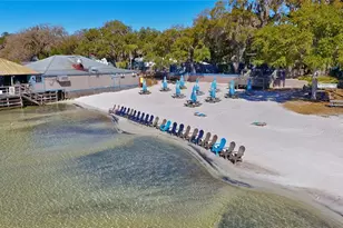 125 Fisher Way, Ocklawaha, FL 32179 - Photo 28