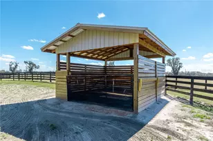 4700 NW 157th Ct, Morriston, FL 32668 - Photo 66