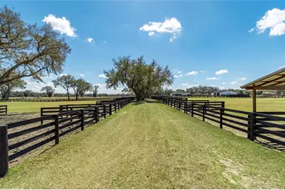 4700 NW 157th Court, Morriston, FL 32668 - Photo 90