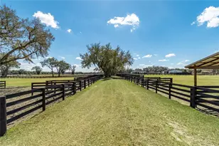 4700 NW 157th Ct, Morriston, FL 32668 - Photo 90
